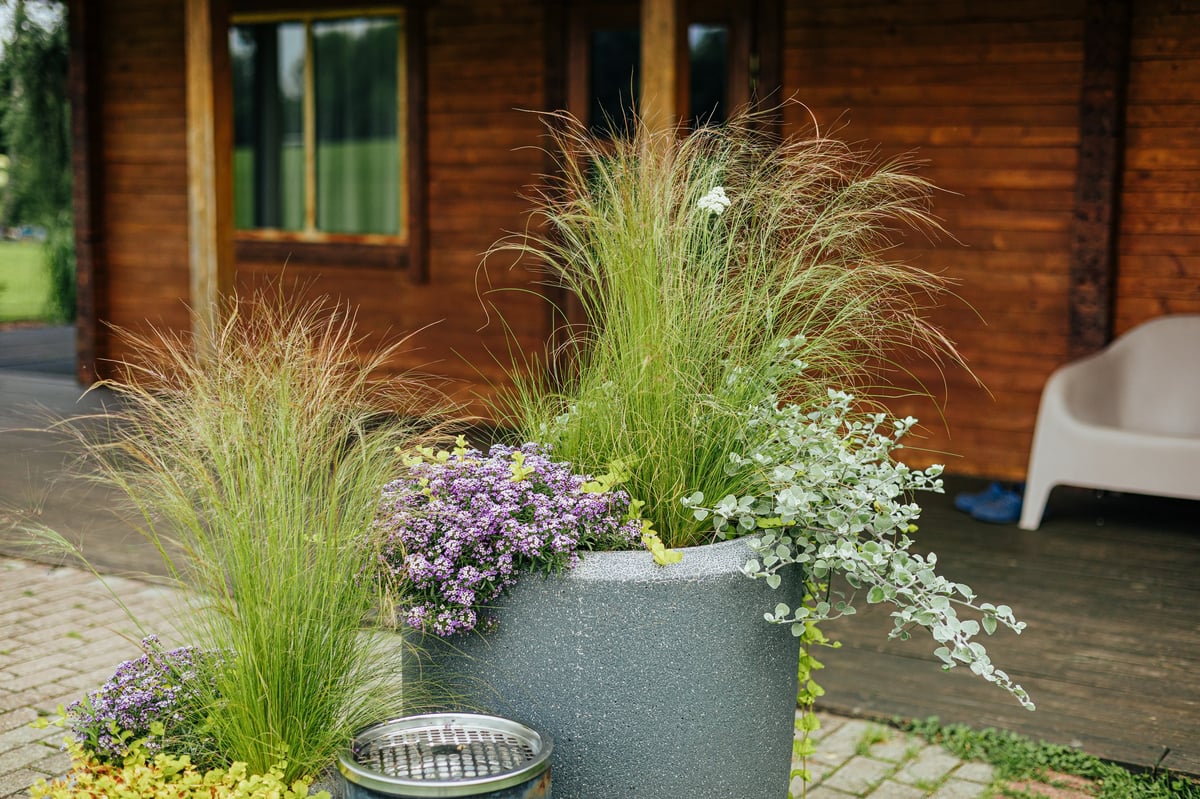 A large modern planter filled with ornamental grass, purple flowers, and cascading foliage brightens a rustic house patio