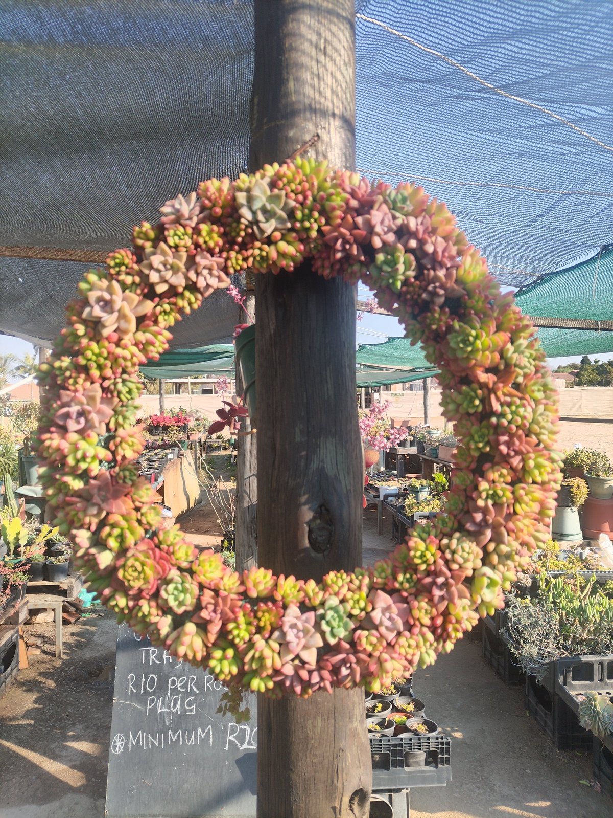 Colorful wreath of pink, yellow, and green flowering succulents wrapped around a wooden post at a plant nursery
