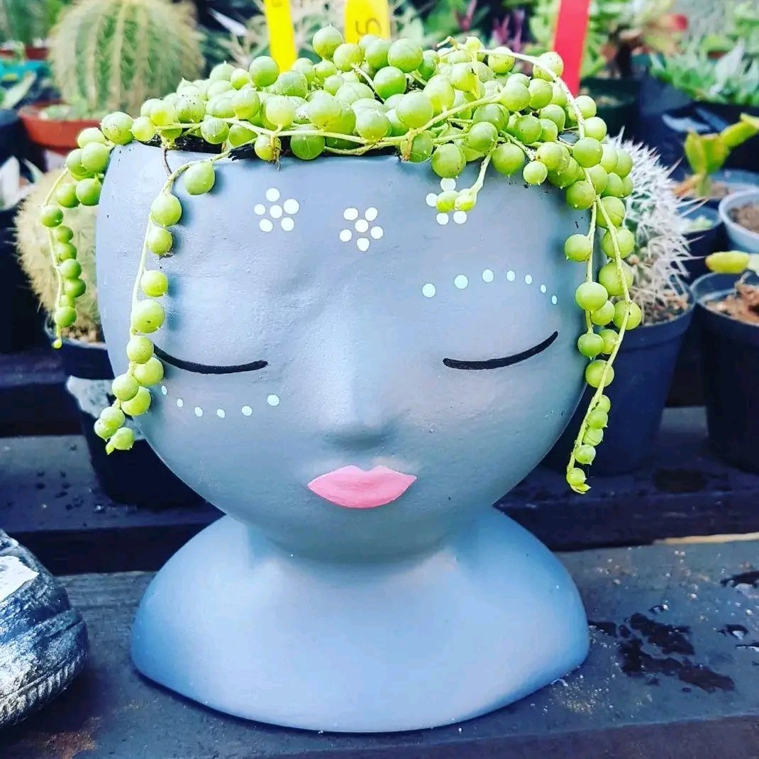Light blue decorative head planter with closed eyes, pink lips, and cascading green succulent plant strands as hair