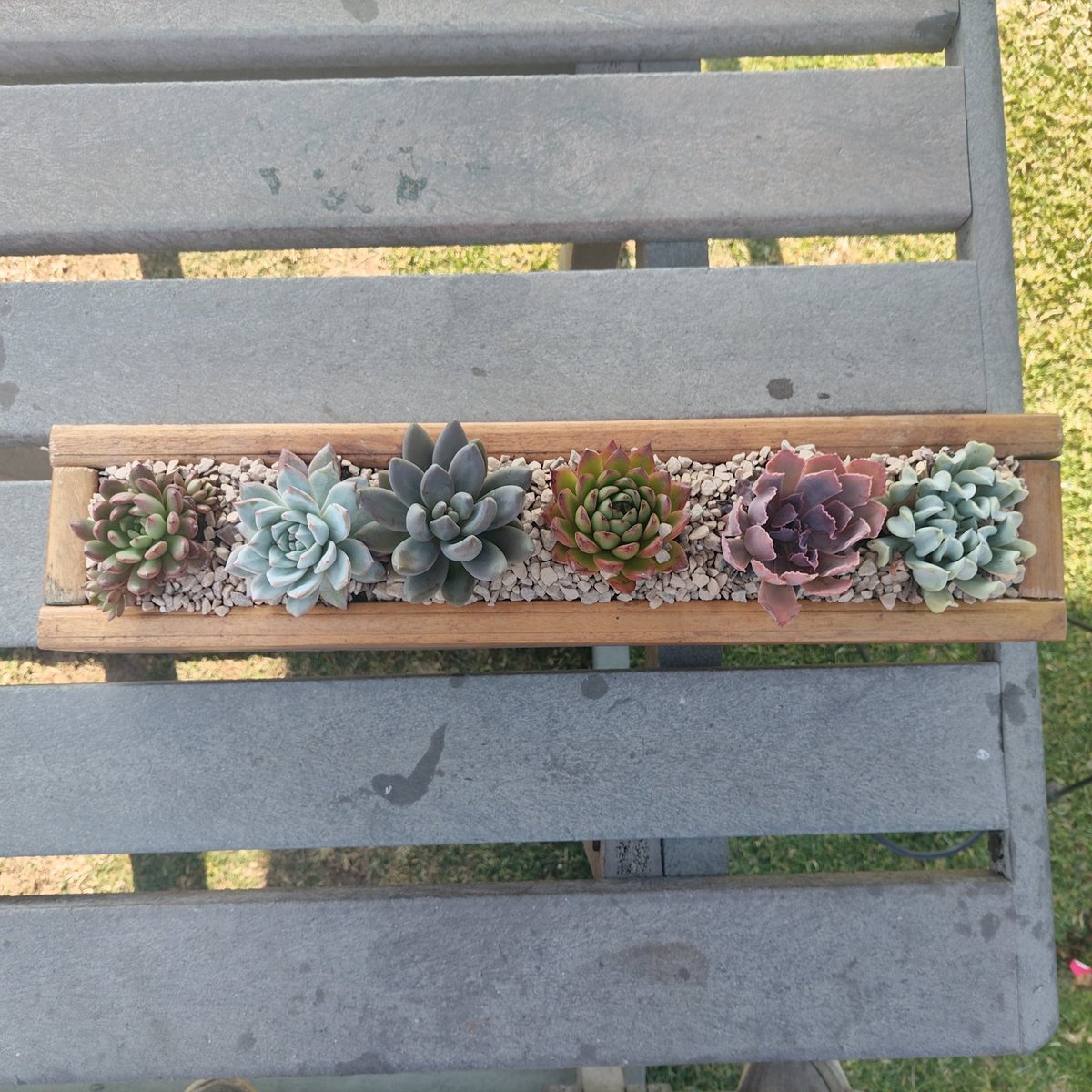 Wooden planter box with assorted succulents and decorative rocks on concrete steps